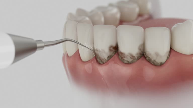 Reliable Dental contractor in Weston, WV by Dentist Open Now